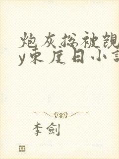 炮灰总被觊觎by东度日小说免费阅读