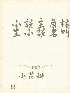 小说主角林天重生小说名叫什么