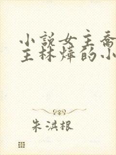 小说女主乔念男主林烨的小说