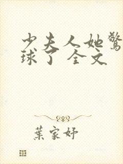 少夫人她惊艳全球了 全文