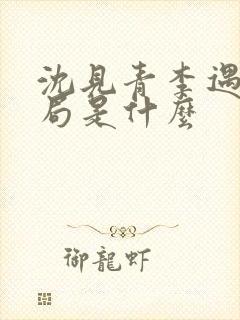 沈见青李遇泽结局是什么