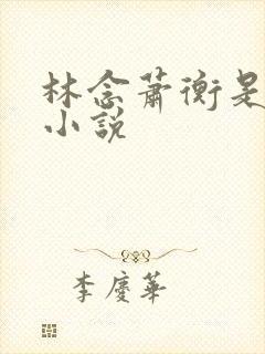 林念萧衡是什么小说