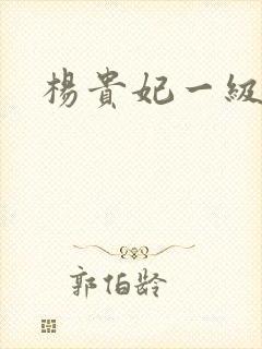 杨贵妃一级淫史