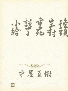 小说重生后我嫁给了死对头txt