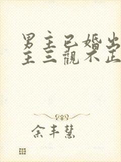 男主已婚出轨女主三观不正小说