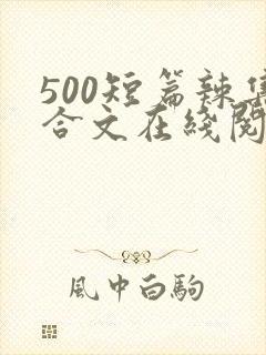 500短篇辣集合文在线阅读
