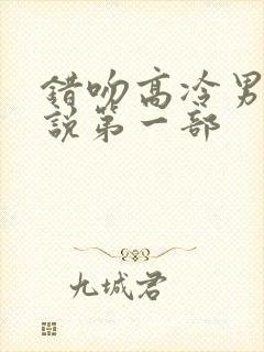 错吻高冷男神小说第一部