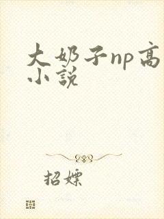 大奶子np高h小说