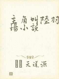 主角叫陆羽的官场小说