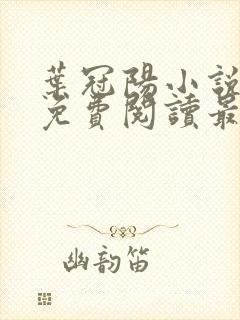 叶冠阳小说全文免费阅读最新章节