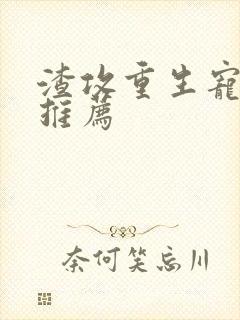 渣攻重生宠受文推荐封面