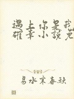 遇上你是我的小确幸小说免费阅读