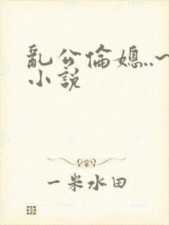 乱公伦媳..~小说