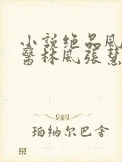 小说绝品风流狂医林风张慧免费全本阅读