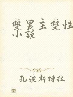 双男主双性高h小说