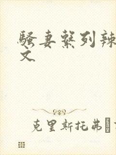 骚妻系列辣文h文