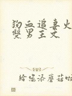 狗血追妻火葬场双男主文