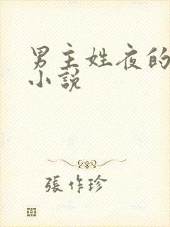 男主姓夜的言情小说