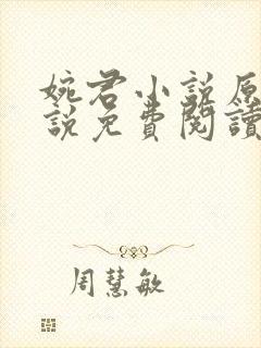 婉君小说原著小说免费阅读封面