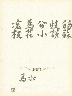 沧为公歧的清纯校花小说苏