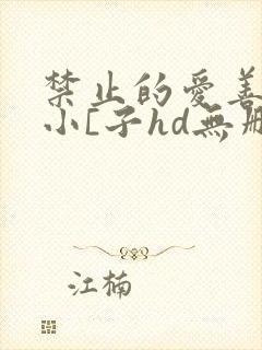 禁止的爱善良的小[子hd无删减播放韩