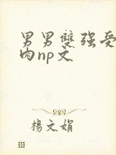 男男双强受h啪肉np文
