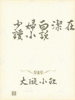 少妇白洁在线阅读小说