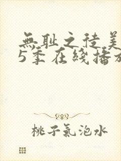 无耻之徒美版第5季在线播放