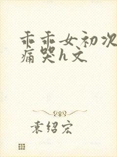 乖乖女初次破苞痛哭h文
