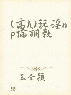 (高h)玩淫np伦调教