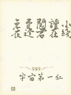 免费阅读小说此夜逢君在线阅读全文