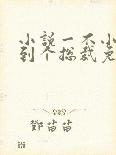 小说一不小心捡到个总裁免费阅读