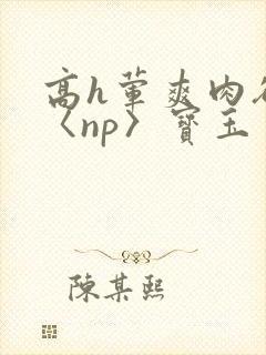 高h荤爽肉欲文〈np〉宝玉