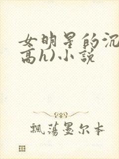 女明星的沉沦(高h)小说封面