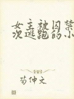 女主被囚禁并多次逃跑的小说