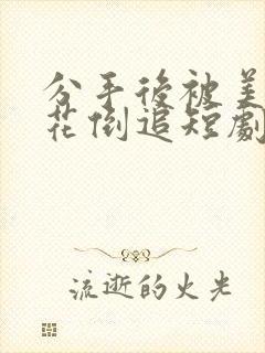 分手后被美女校花倒追短剧封面