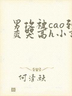 男攻被cao到爽哭高h小说