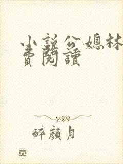 小说公媳林冰免费阅读