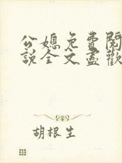 公媳免费阅读小说全文尽欢年代