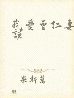 我爱曹仁妻 小说