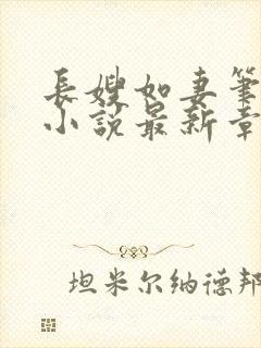 长嫂如妻笔趣阁小说最新章节