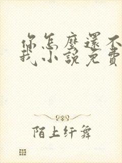 你怎么还不来哄我小说免费阅读