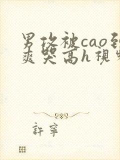 男攻被cao到爽哭高h视频