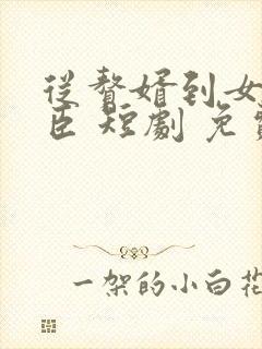 从赘婿到女帝宠臣 短剧 免费封面