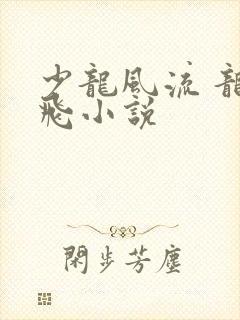 少龙风流 龙剑飞小说