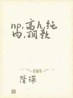 np,高h,纯肉,调教