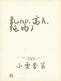 乱np,高h,纯肉)