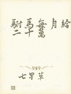 驸马每月给公主二十万