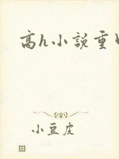 高h小说重口封面