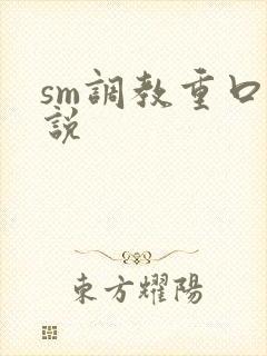 sm调教重口小说